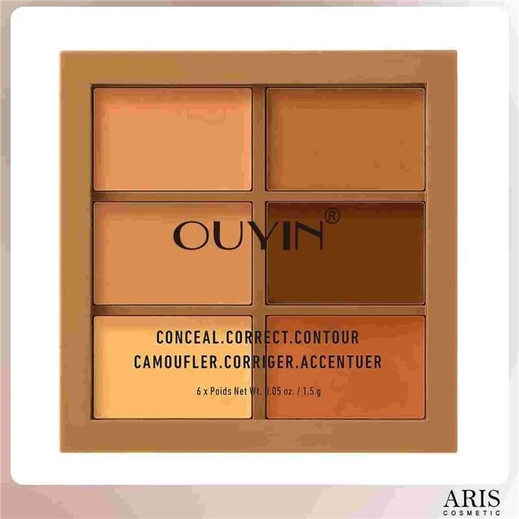 New 6 Color contour highlighting makeup kit private label base makeup reference